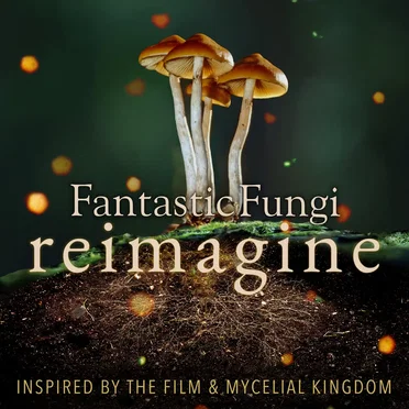 Fantastic Fungi: Reimagine Vol 1 & 2 by Various Artists - album cover