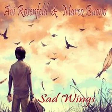Sad Wings by Avi Rosenfeld - album cover