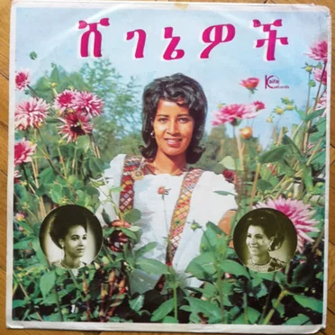 ሸገኔዎች