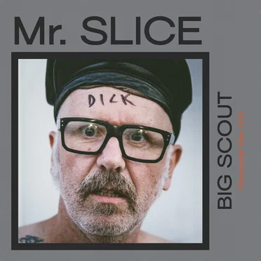 Mr. Slice by Big Scout - album cover