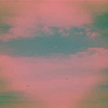 Floaters