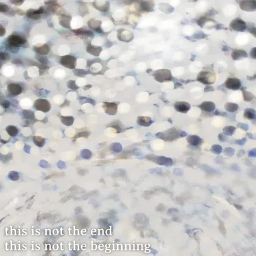 all the stars in the sky