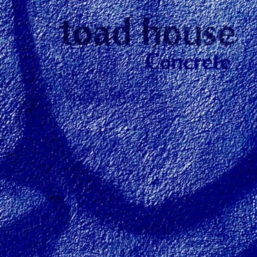 Concrete by Toad House - album cover