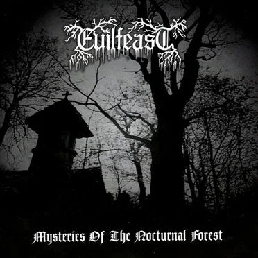 Mysteries of the Nocturnal Forest