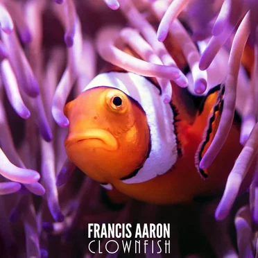 Clownfish by Francis Aaron - album cover