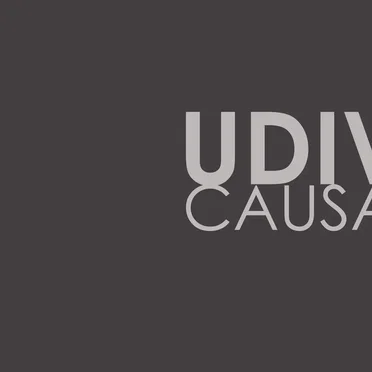 Causa by Udiv - album cover