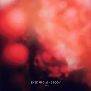 Amare by shedfromthebody - album cover