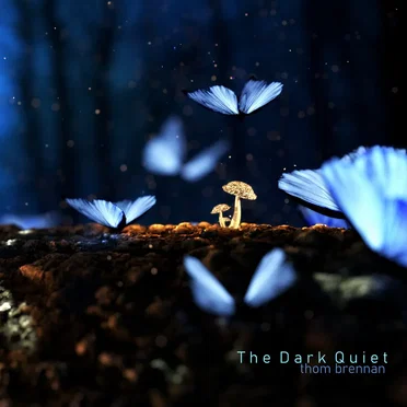 The Dark Quiet