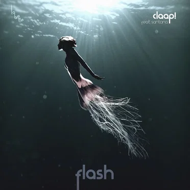 Flash