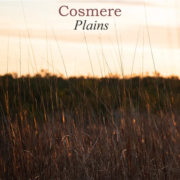 Plains