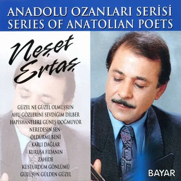 Ölmeyen Türküler 2 by Neşet Ertaş - album cover