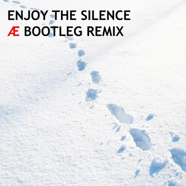Enjoy the Silence (Æ bootleg remix)
