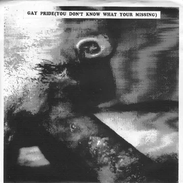 Gay Pride (You Don't Know What Your Missing) by Various Artists - album cover