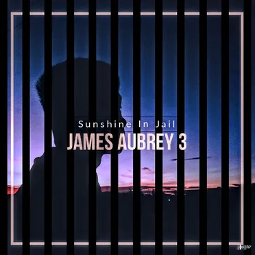 Sunshine In Jail