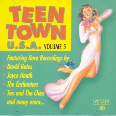 Teen Town USA, Volume 5 by Various Artists - album cover