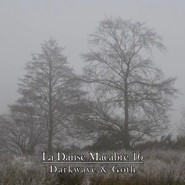 La Danse Macabre 16 by Various Artists - album cover