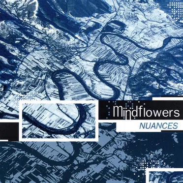 Nuances by Mindflowers - album cover