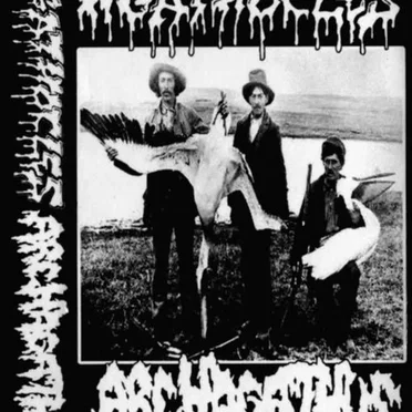 Agathocles / Archagathus