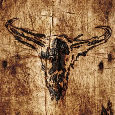 Southern Hostility by Upon a Burning Body - album cover