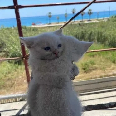 愛してる