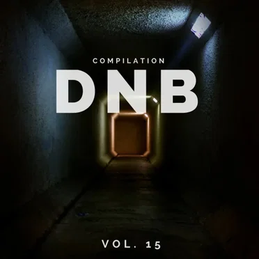 DnB Music Compilation, Vol. 15 by Various Artists - album cover