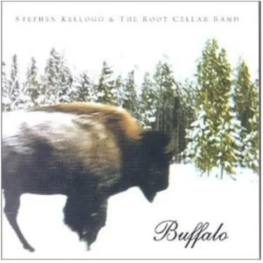 Stephen Kellogg and The Root Cellar Band