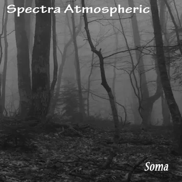 Soma