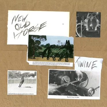 New Old Horse by Twine - album cover