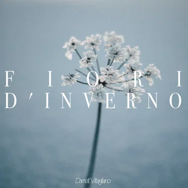 Fiori d’inverno