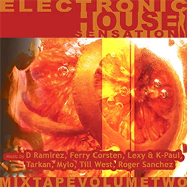 Electronic House Sensation Vol. 2 by Various Artists - album cover