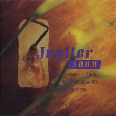 Arum by Jupiter - album cover