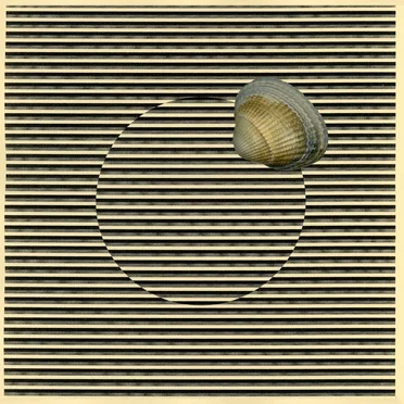 Aleatoric Sampling System, Vol. 1 by DJ Brittle - album cover