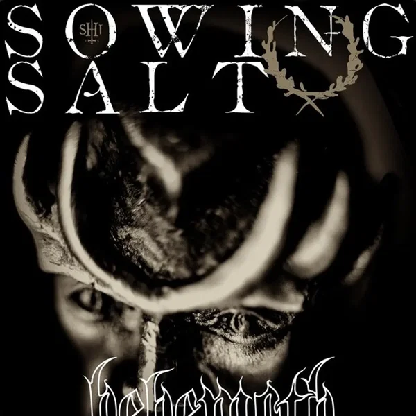 Sowing Salt