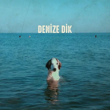Denize Dik by Salih Korkut Peker - album cover