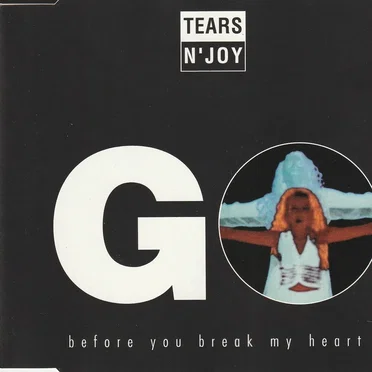 Go Before You Break My Heart