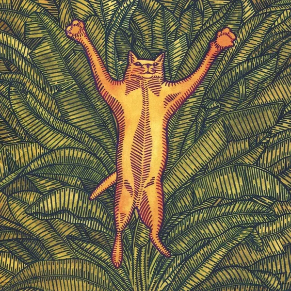 Gatos do sul