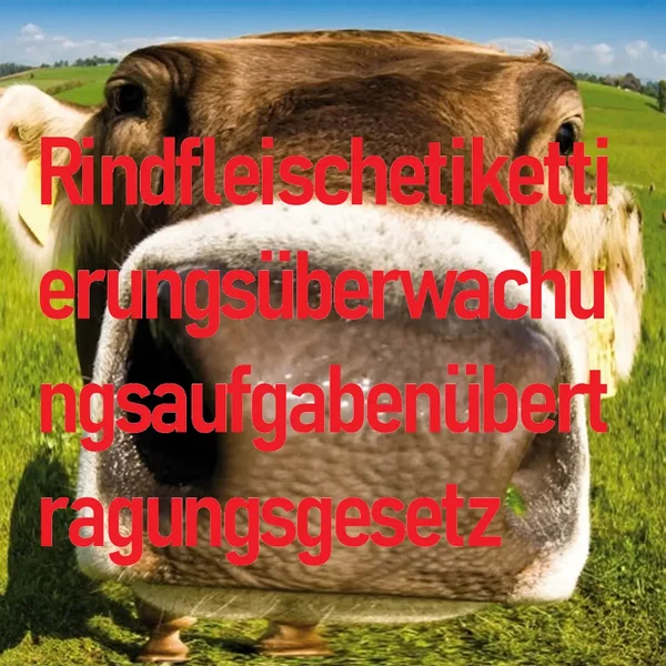 Rindfleischetikettierungsüberwachungsaufgabenübertragungsgesetz