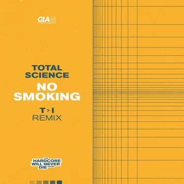 No Smoking (T>I remix)