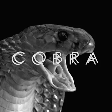 Cobra by Award Winning Gardens - album cover