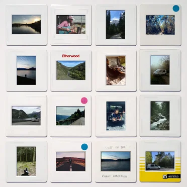 Lost in the Right Direction