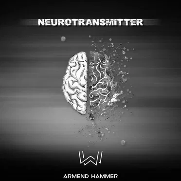 Neurotransmitter by Armend Hammer - album cover