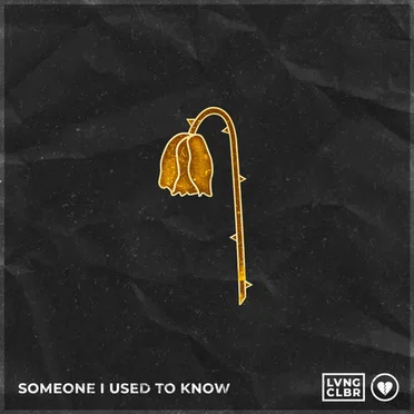 Someone I Used to Know