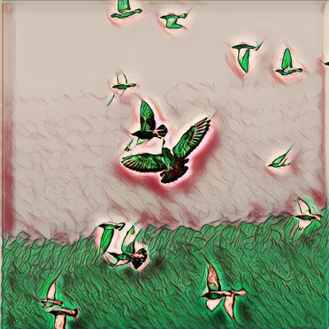 Free as a bird by House of Tapes - album cover
