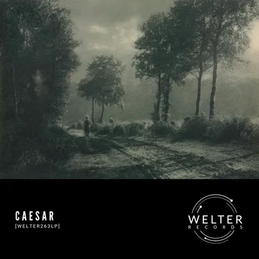 WELTER263LP