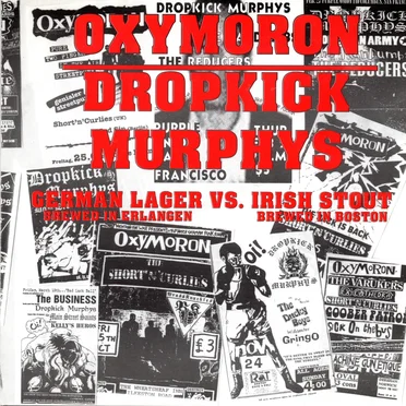 German Lager vs. Irish Stout