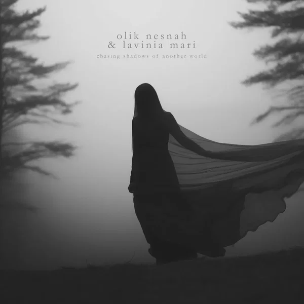 Chasing Shadows of Another World