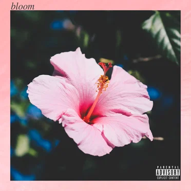 Bloom