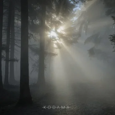 Seeds and Other Magic