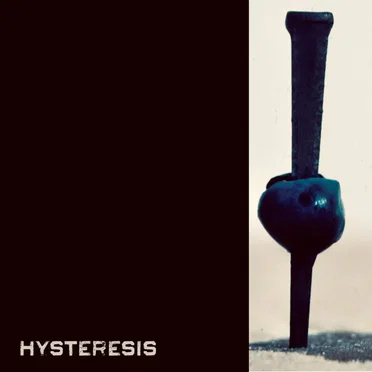 Hysteresis by kidneys optional - album cover