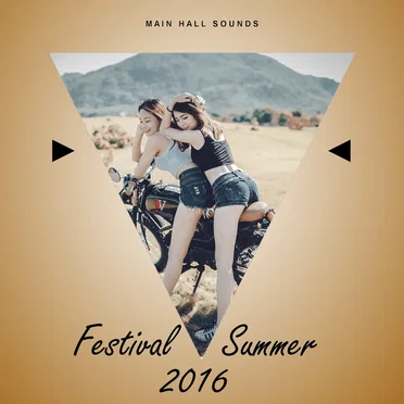 Festival Summer 2016 by Various Artists - album cover